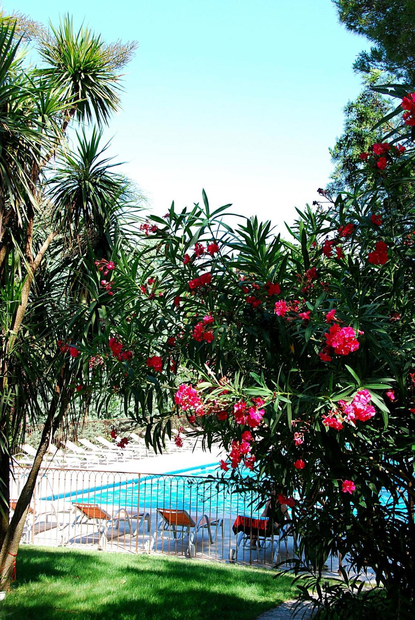 Hotel Les Mazets Des Roches Tarascon Dış mekan fotoğraf