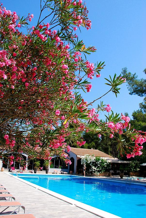 Hotel Les Mazets Des Roches Tarascon Dış mekan fotoğraf