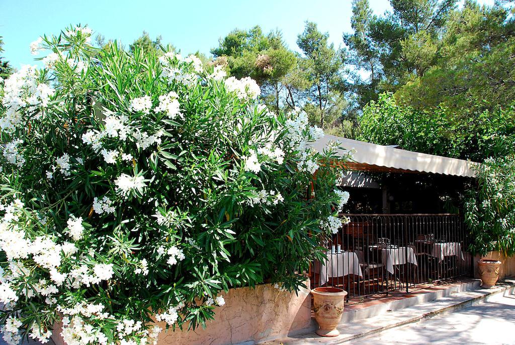 Hotel Les Mazets Des Roches Tarascon Dış mekan fotoğraf